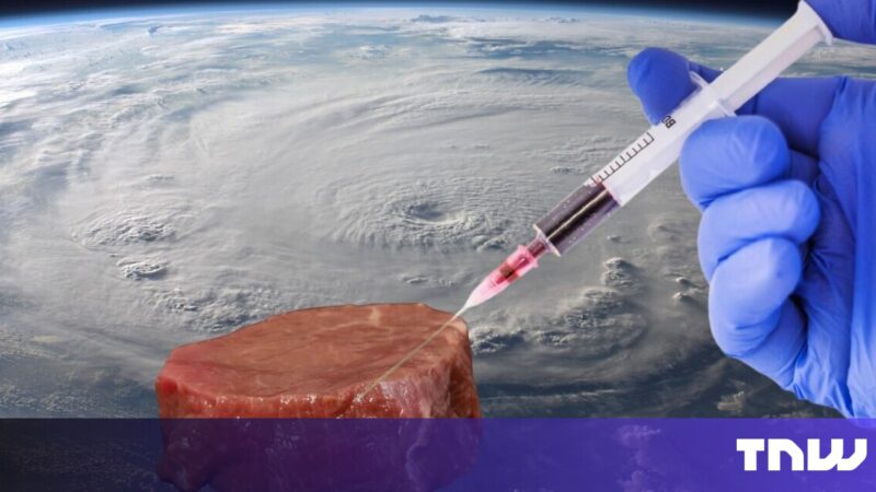 Cultivated meat is a ‘promising’ space food for astronauts, ESA says